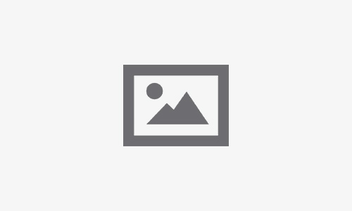 Graduate Profiles Report